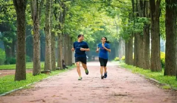 Brigade Insignia Jogging Track